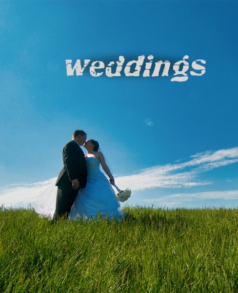 wedding kissing in a field